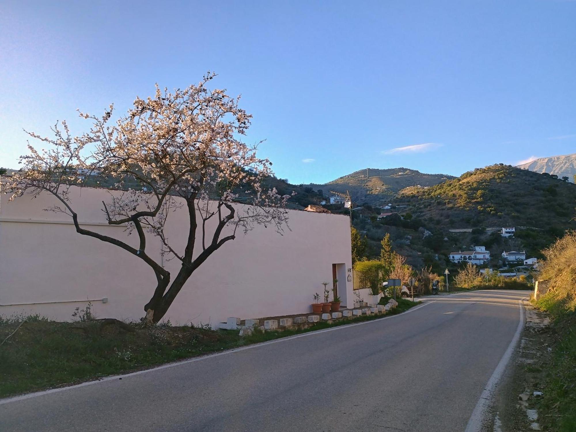 Holiday home El Almendro Archez
