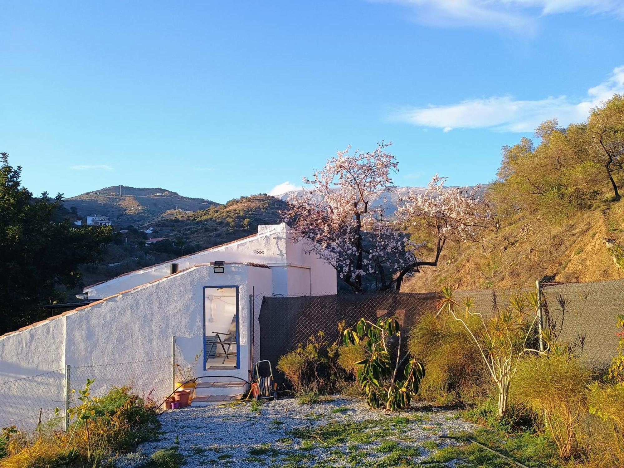 Holiday home El Almendro