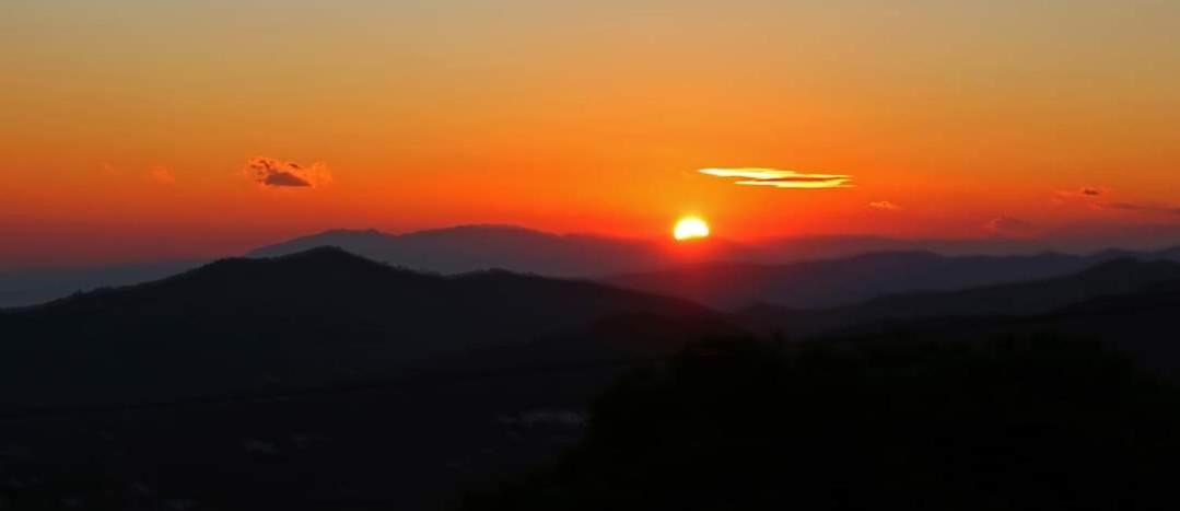El Almendro Holiday home *