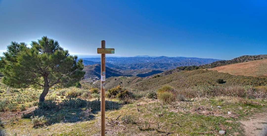 Holiday home El Almendro