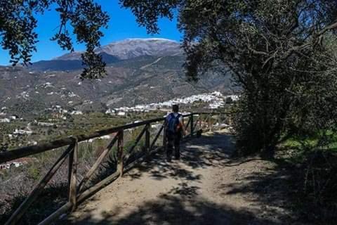 El Almendro Holiday home *