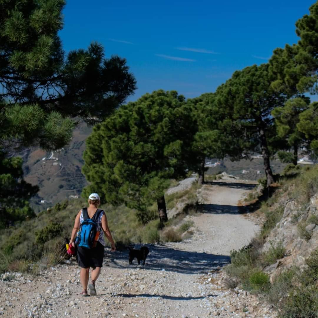 Holiday home El Almendro