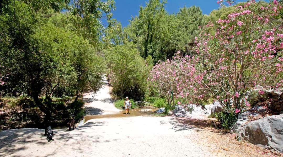 El Almendro Holiday home Archez
