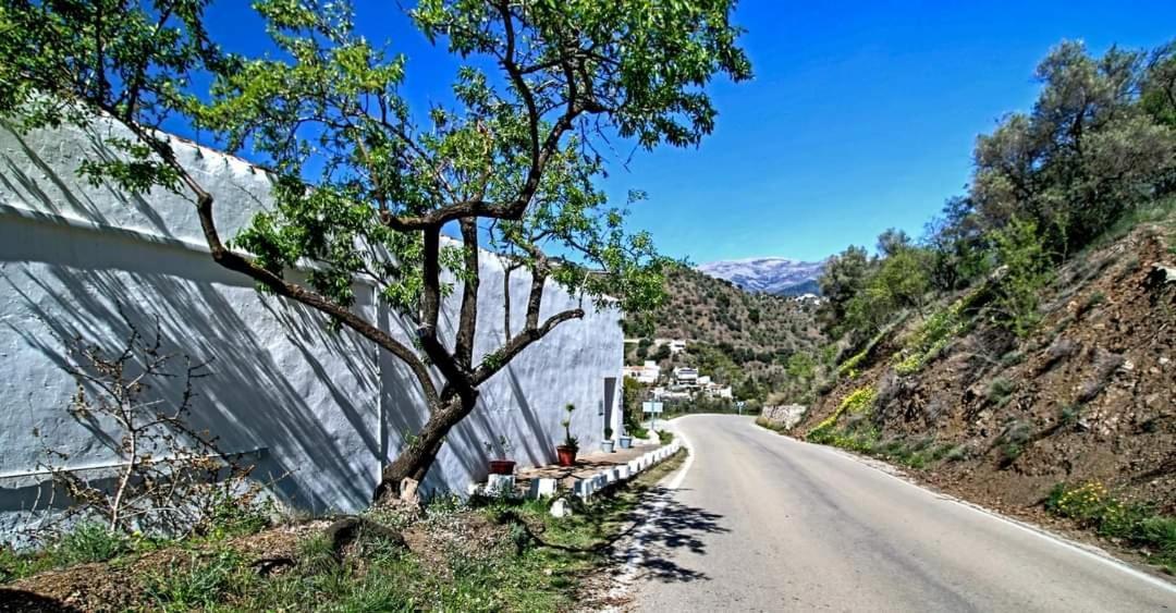 Casa vacanze El Almendro *