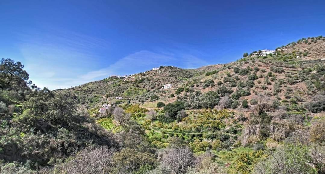 El Almendro Casa vacanze *